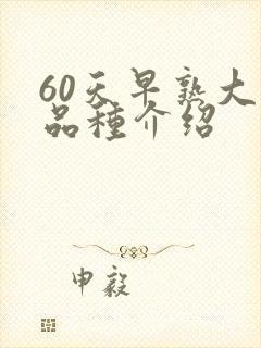 60天早熟大豆品种介绍