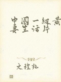 中国一级黄色夫妻生活片