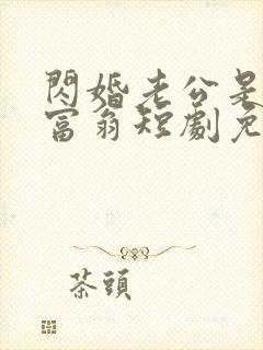 闪婚老公是亿万富翁短剧免费观看