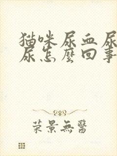 猫咪尿血尿频乱尿怎么回事啊