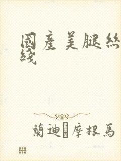 国产美腿丝袜在线
