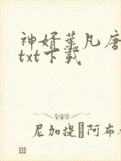 神婿叶凡唐若雪txt下载