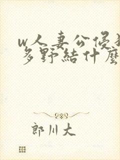 w人妻公侵犯波多野结什么销售