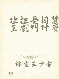 攻把受囚禁双男主剧叫什么名