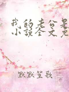 我的老公是大佬小说全文免费阅读