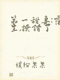 第一甜妻:霍先生,撩错了