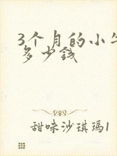 3个月的小牛犊多少钱