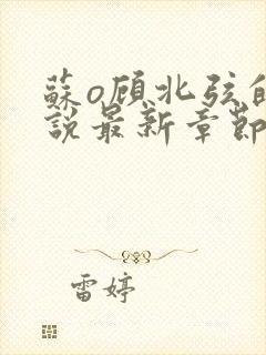 苏o顾北弦的小说最新章节