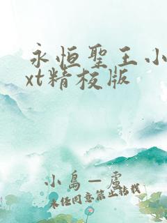 永恒圣王小说txt精校版