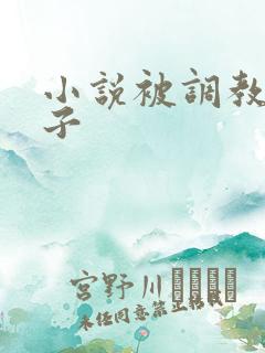 小说被调教的妻子