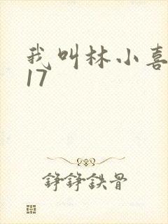 我叫林小喜今年17