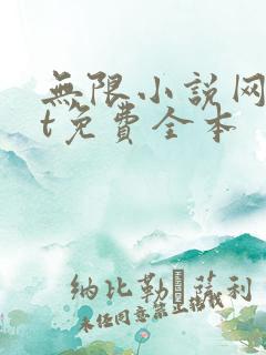 无限小说网txt免费全本