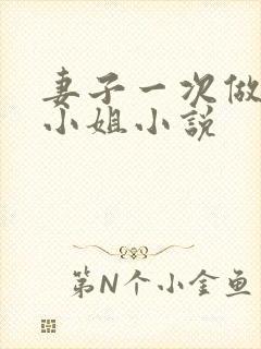 妻子一次做客串小姐小说