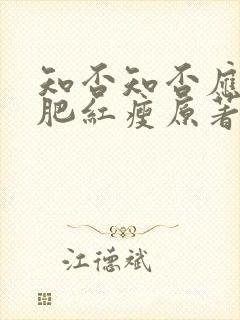 知否知否应是绿肥红瘦原著小说齐衡