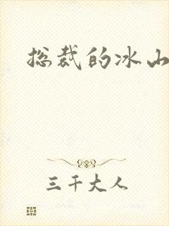 总裁的冰山老婆