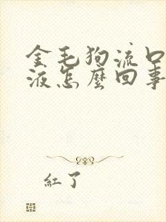 金毛狗流口水粘液怎么回事