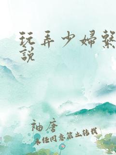 玩弄少妇系列小说