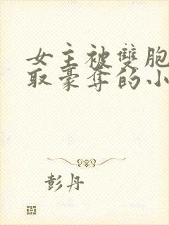 女主被双胞胎强取豪夺的小说