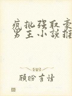 疯批强取豪夺双男主小说推荐