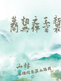 万相之王新笔趣阁无弹窗最新章节