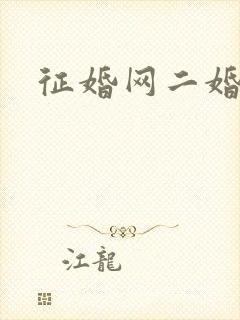 征婚网二婚