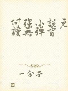 何强小说免费阅读无弹窗