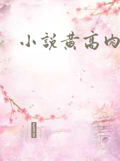 小说黄高肉h
