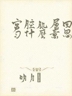 宫腔肌层回声均匀什么意思