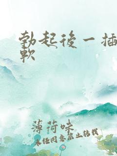 勃起后一插入就软