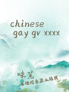chinese gay gv xxxx