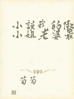 小说我的傲娇大小姐老婆最新章节