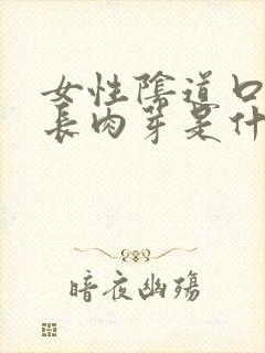 女性阴道口容易长肉芽是什么原因