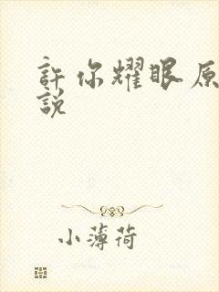许你耀眼原著小说