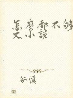 怎么都不够她全文小说