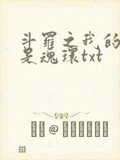 斗罗之我的武魂是魂环txt