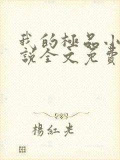 我的极品小姨小说全文免费看