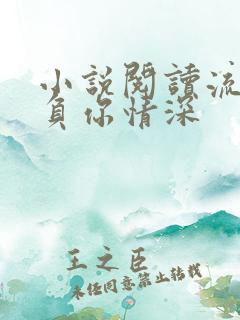 小说阅读流年不负你情深