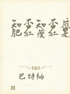 知否知否应是绿肥红瘦红是什么花