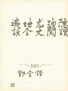 遍地尤物陈功小说全文阅读