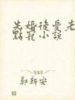 先婚后爱老公轻点宠小说