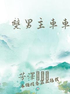 双男主车车动漫