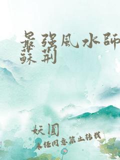 最强风水师陈阳苏荆