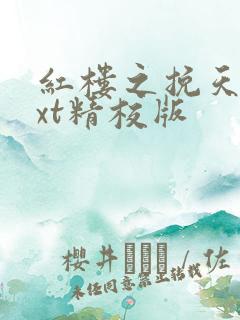 红楼之挽天倾txt精校版