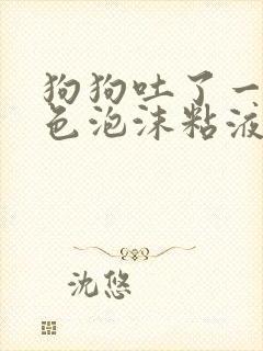 狗狗吐了一滩白色泡沫粘液方法