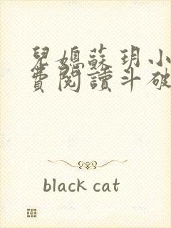 儿媳苏玥小说免费阅读斗破