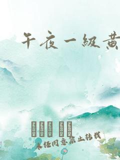 午夜一级黄大片