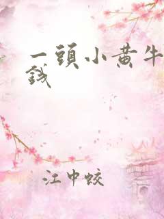 一头小黄牛多少钱