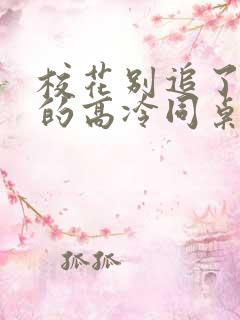 校花别追了 我的高冷同桌