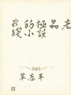 我的极品老婆在线小说