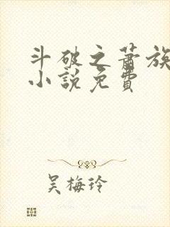 斗破之萧族冰圣小说免费